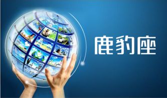 网络营销策划 信息网络经营游戏产品的多元化方法与实战策略