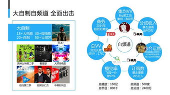 精准媒体 引领苏州及周边地区的专业网站建设与数字化推广服务
